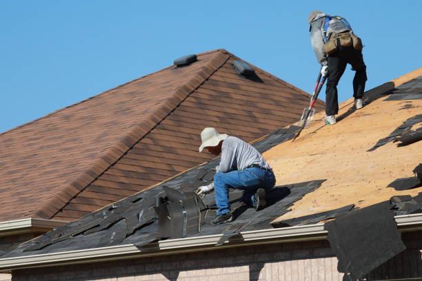 Asphalt Shingles Roofing in Hampden Sydney, VA